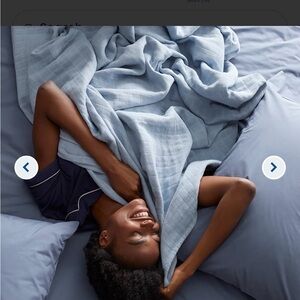 NWT company store soft ice blue cotton king Woven Blanket